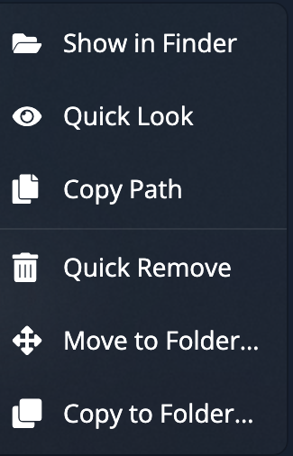 The panel right-click menu