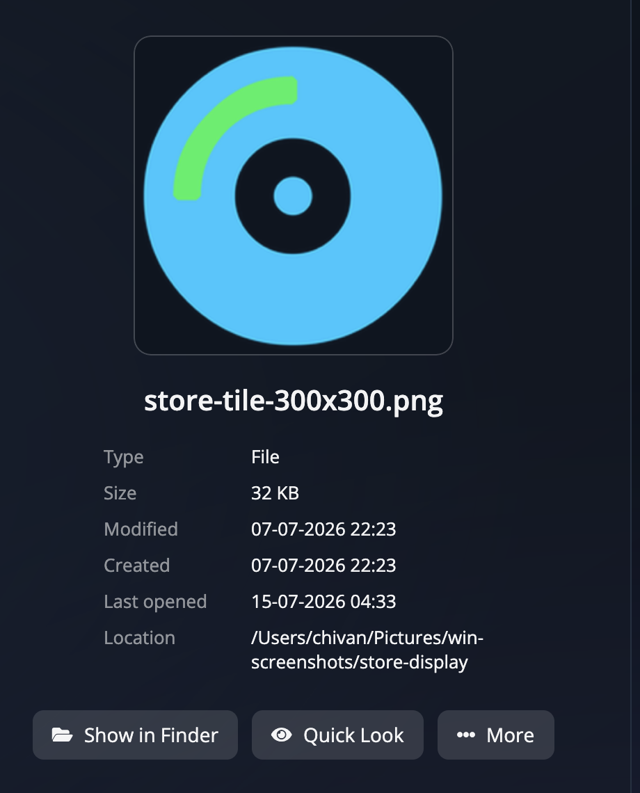 The file details card
